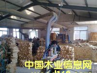 展示的详细介绍