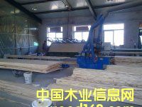 展示的详细介绍