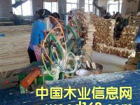 ���ɲĹ�������ϸ����