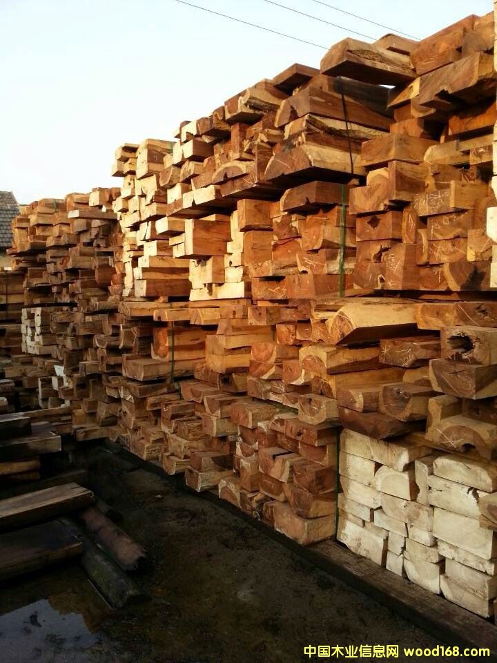 ����鿴������֦�Ŵ�ͼƬ