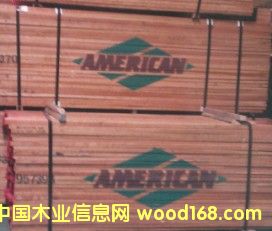 ����鿴ӣ�ҷŴ�ͼƬ