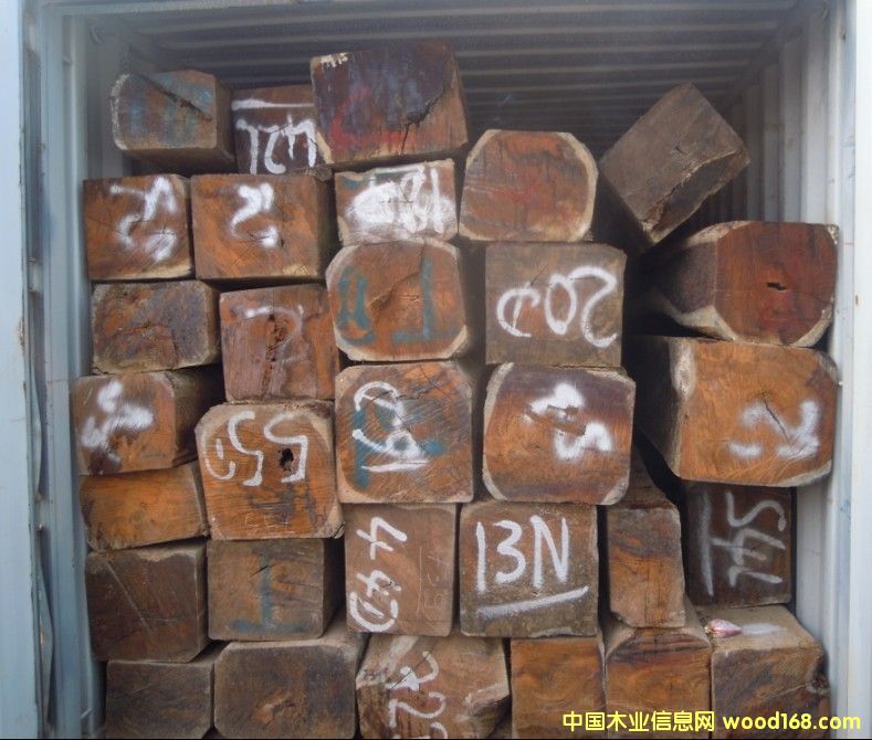 ��ݸɳ��ۻ���ľ���ڱ�����ش���