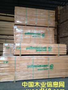 S66¹ľɰ23-26mm һëߵֱ߲ ϸ