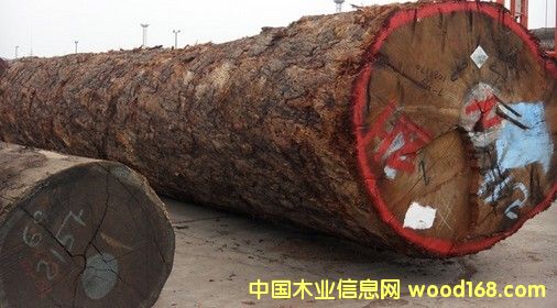 ��Ʒ�󾶰ͻ�ԭľ