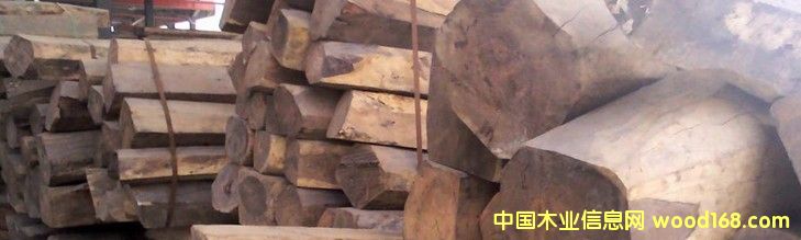 ΢����̴���������֦ 