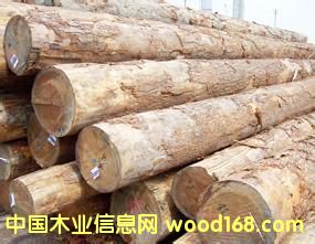 Ӧ黨ľԭľľԭľھԭľ飩