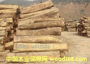 �ǻ��� ���ʷ����ǻ���