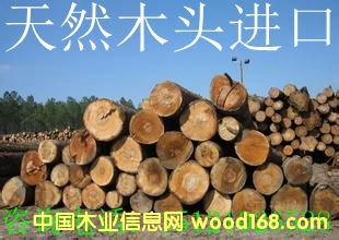 ����鿴ľ�ķŴ�ͼƬ