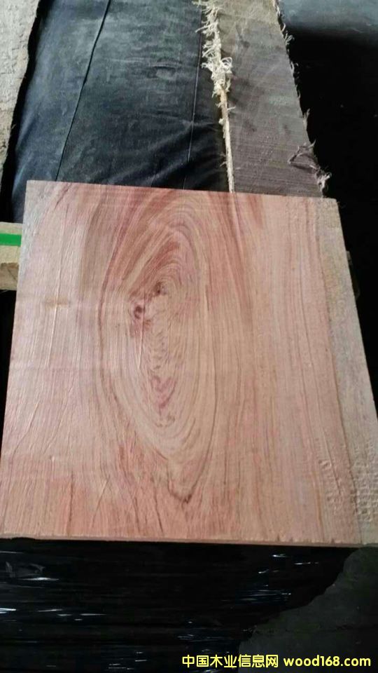 ����鿴�������棨���аͣ��Ŵ�ͼƬ