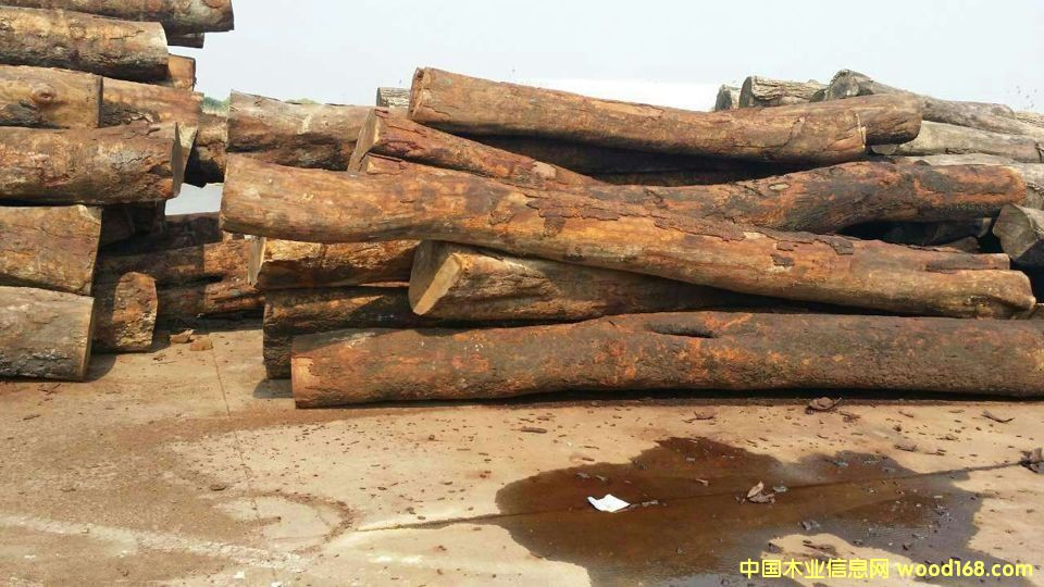 �������棨���аͣ�