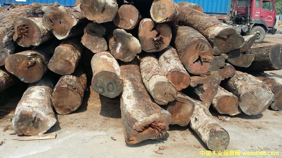 ����鿴�������棨���аͣ��Ŵ�ͼƬ