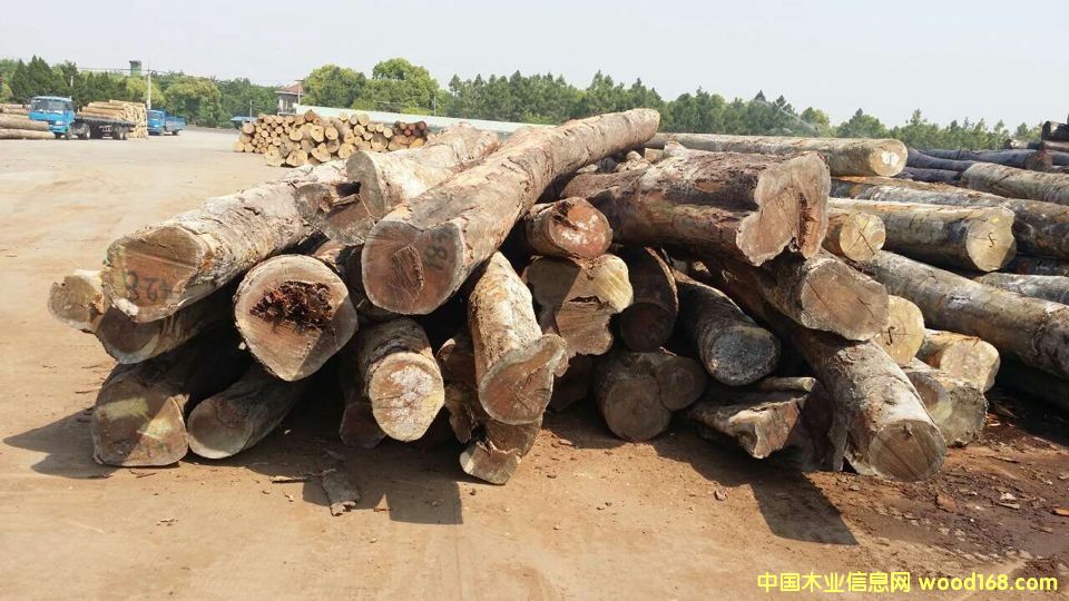 ����鿴�������棨���аͣ��Ŵ�ͼƬ