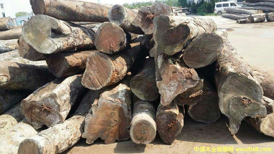 ����鿴�������棨���аͣ��Ŵ�ͼƬ