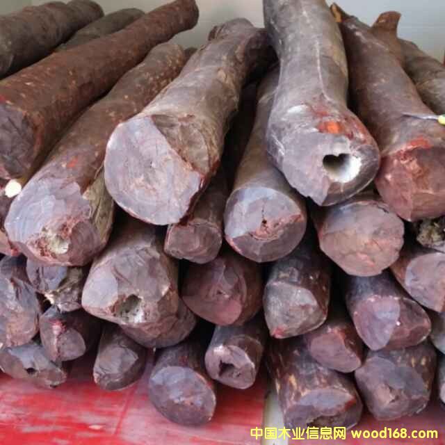 ����鿴СҶ��̴�Ŵ�ͼƬ