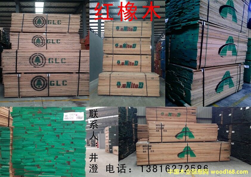 红橡的详细介绍