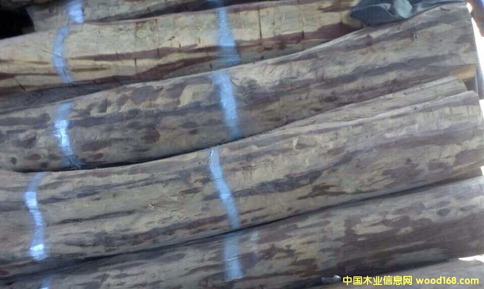 ����鿴���κ���֦�Ŵ�ͼƬ