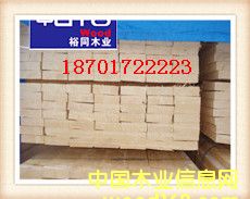 ��ɼ����ϸ����