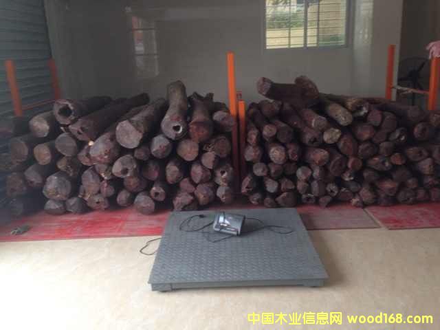 ����鿴СҶ��̴�Ŵ�ͼƬ