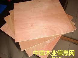 Plywood Keruing Face/Backϸ