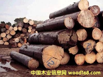 ����鿴�����ǷŴ�ͼƬ