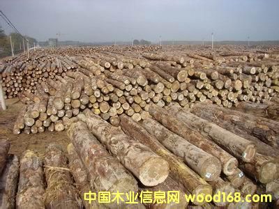 ����鿴�����ǷŴ�ͼƬ