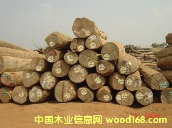 ����鿴�����ǷŴ�ͼƬ