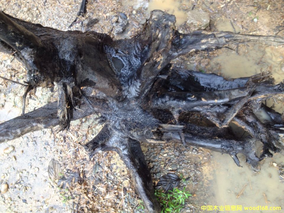 ����鿴��˿�ľ�Ŵ�ͼƬ