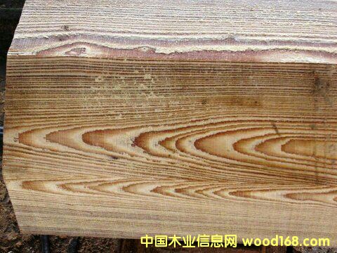 ��������ɼ����ϸ����