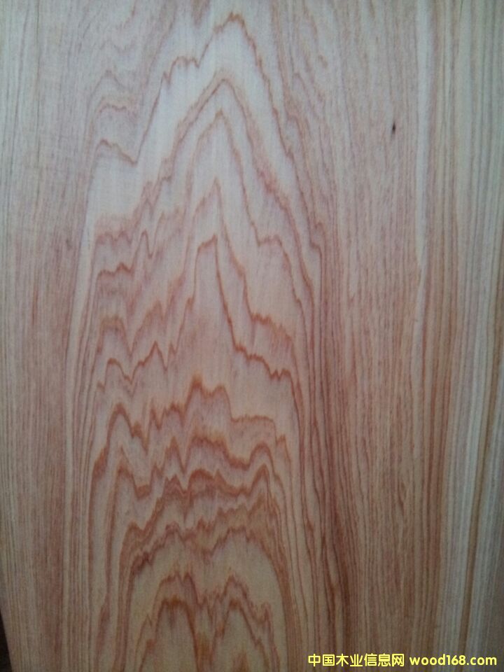 ������ľ����ϸ����