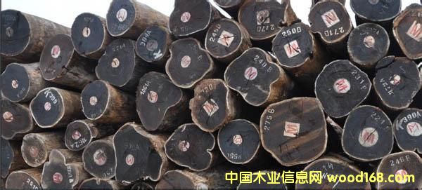 ����鿴�Ϻ�ľ�Ľ��ڱ��ش����Ŵ�ͼƬ