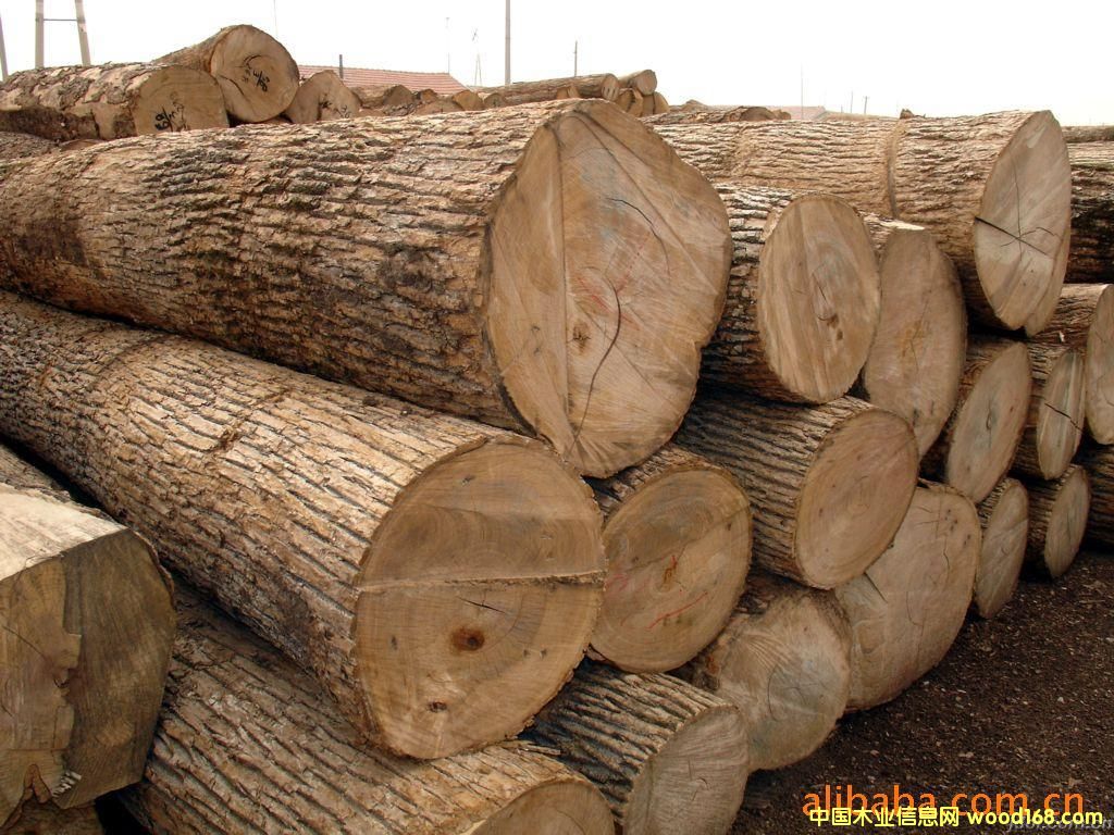 鿴޵ĻƻϡܽôڷŴͼƬ