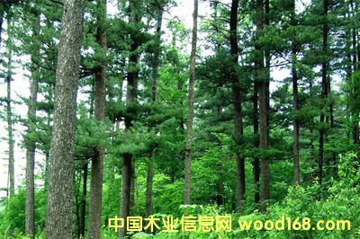 鿴ֱӴӣľϺ̼ҪЩŴͼƬ