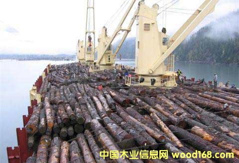 鿴ľпʲôҪܽڽڱشŴͼƬ