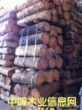 ��Ӧ�����֦ ����֦ԭľ