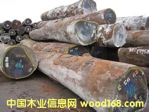 ��Ӧ΢����̴���������֦ԭľ