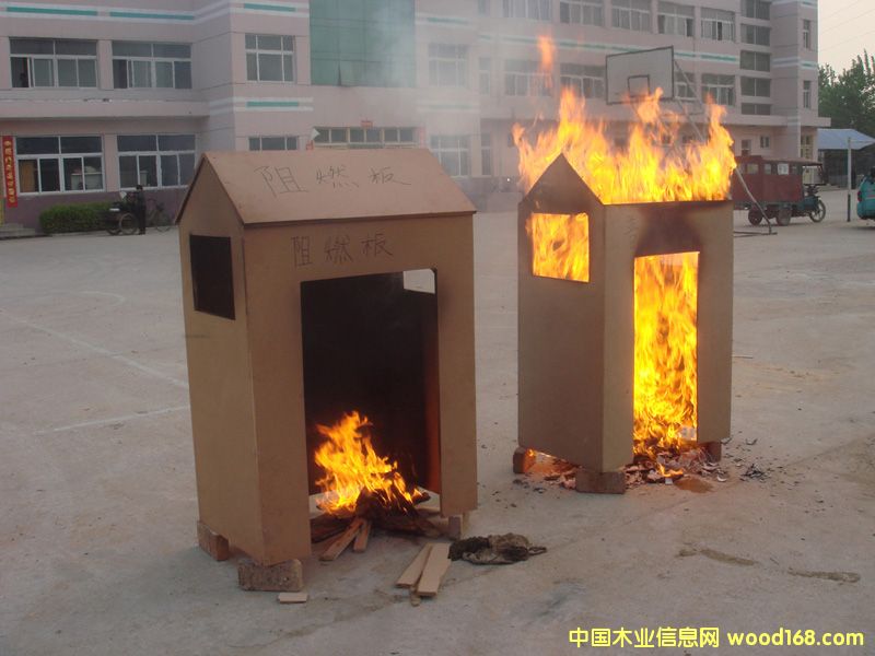 ��ȼB1����