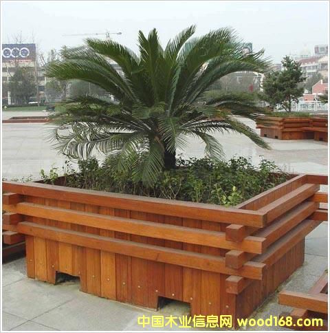 ����ľľ�ʻ���