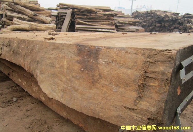 �ͻ�ԭľ ��ľľ��