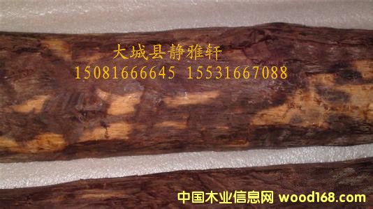 ӡ��СҶ��̴��Ͳ�ϼ۸��Ż�