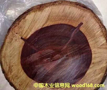 ����鿴����Ѫ̴  �ޱ���Ѫ̴�Ŵ�ͼƬ