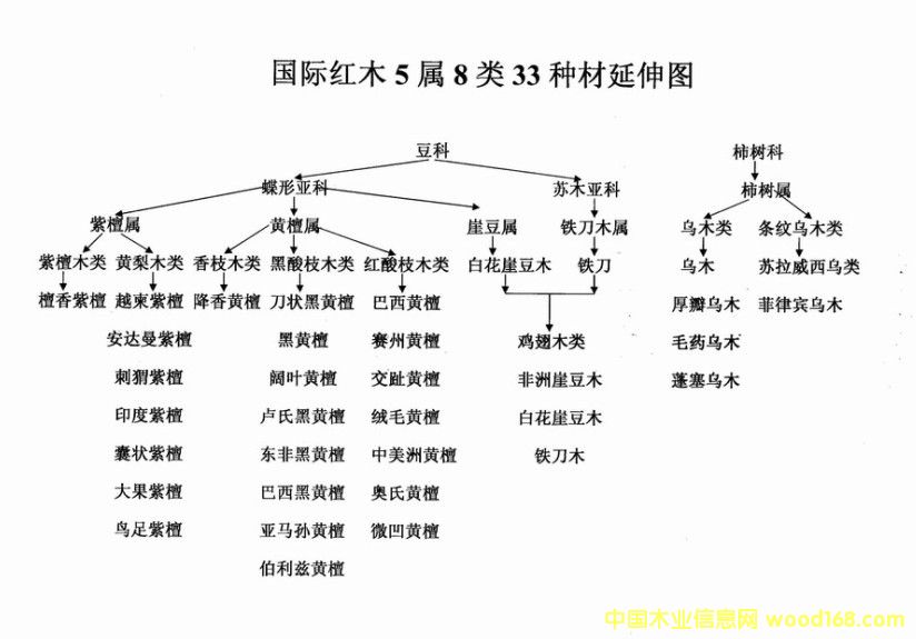 红木的详细介绍