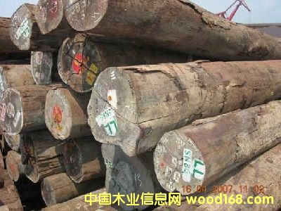 红木的详细介绍