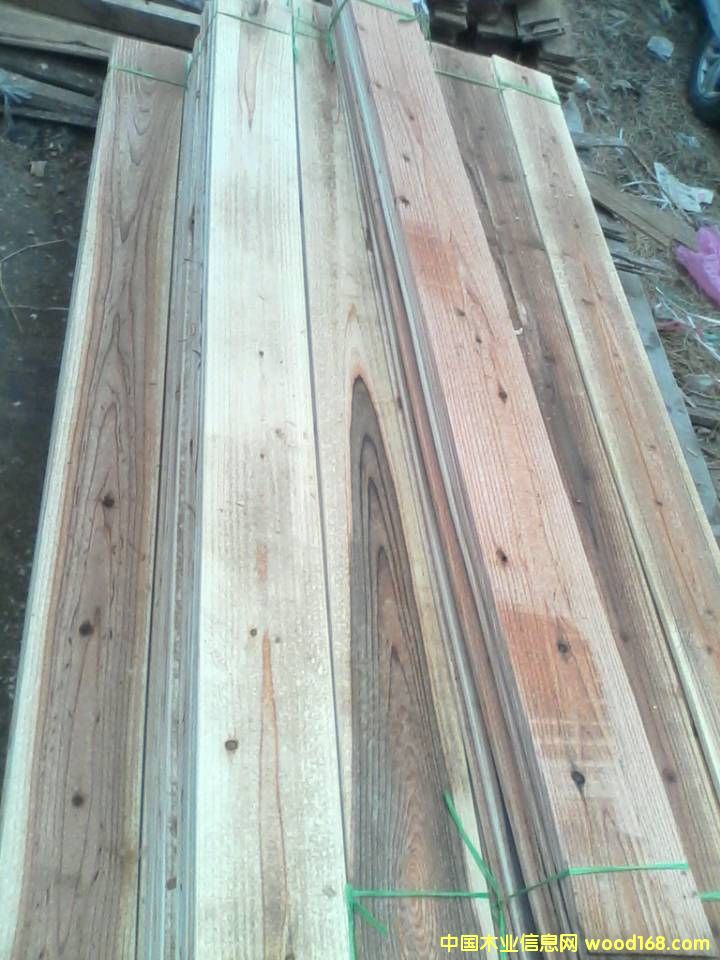 杉木的详细介绍