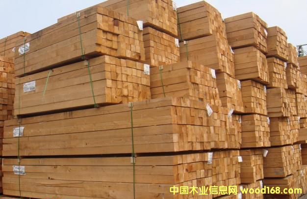 ޽ڰ  ľ޽ڲ Ӥ ɴϸ