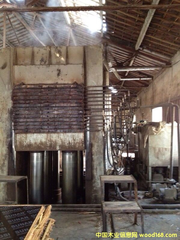 ʮ������