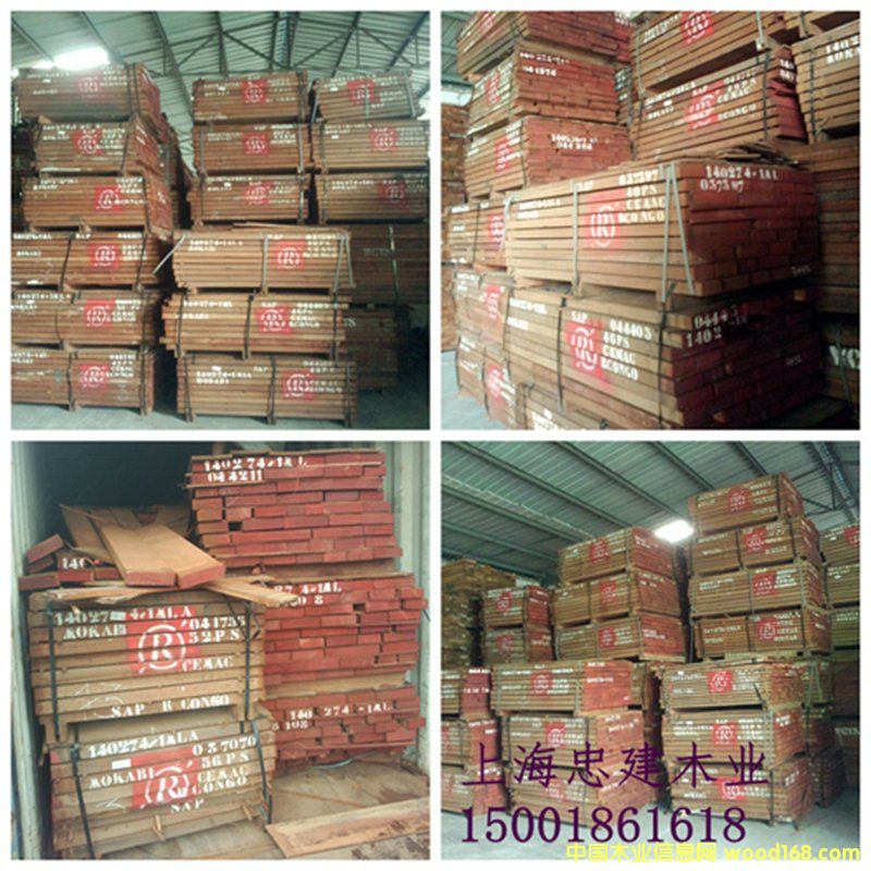 ��Rɳ��������