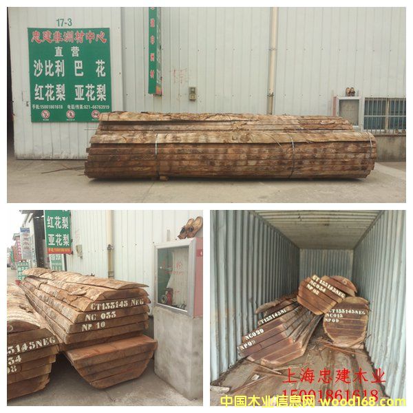 ��Rɳ�������