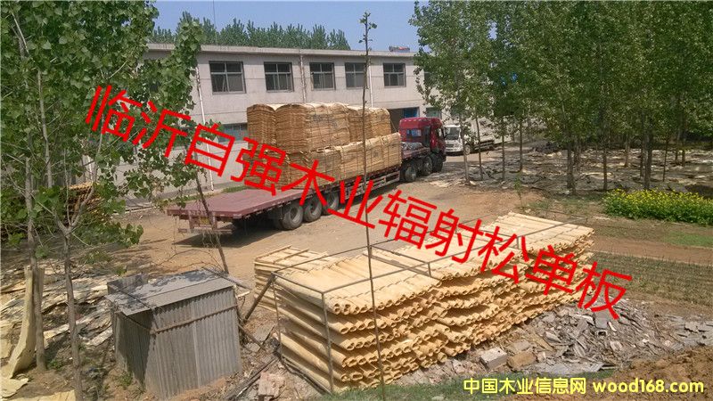 ����С�����ľ��Ƥ