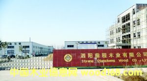 ����ǰ��ľҵ���Ƽ�ľ������ҵ