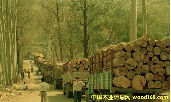 ��˼�ְ�Ư��������ж�